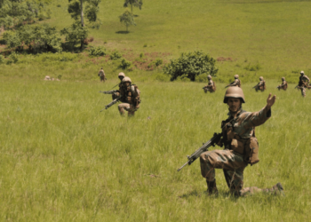 43 brigade sandf monusco fib